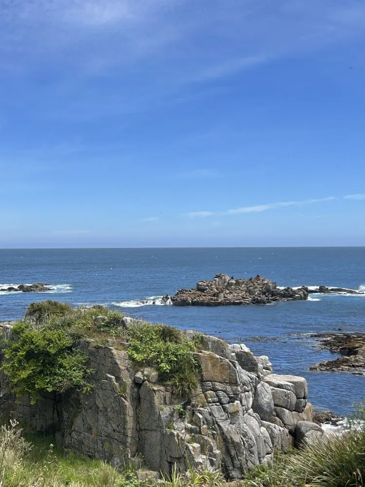 Tour a Chaihuín: la Ruta del Mar desde Valdivia