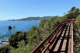 Tour a Chaihuín: la Ruta del Mar desde Valdivia