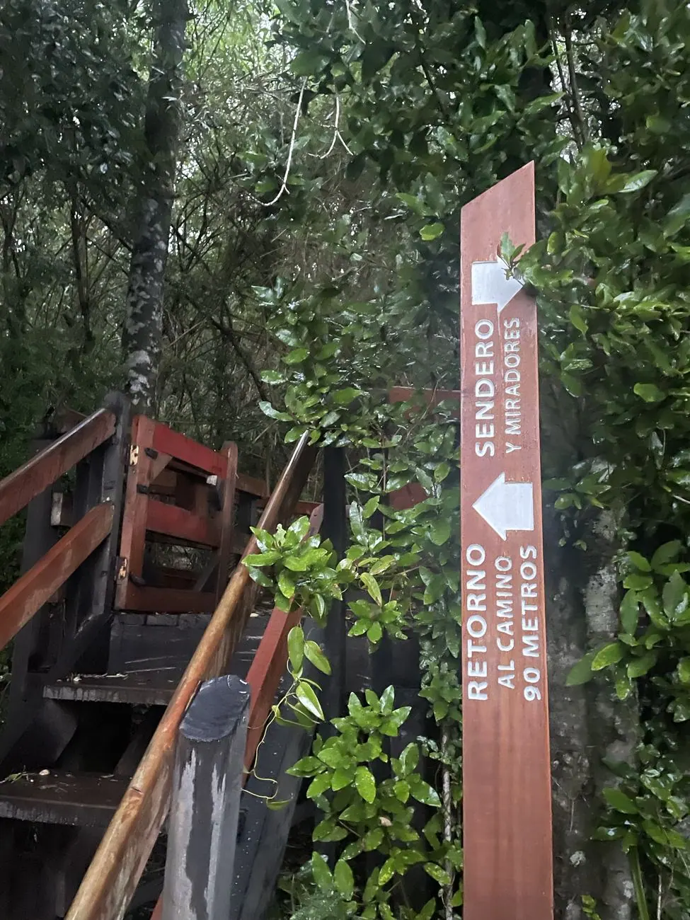 Tour a Chaihuín: la Ruta del Mar desde Valdivia