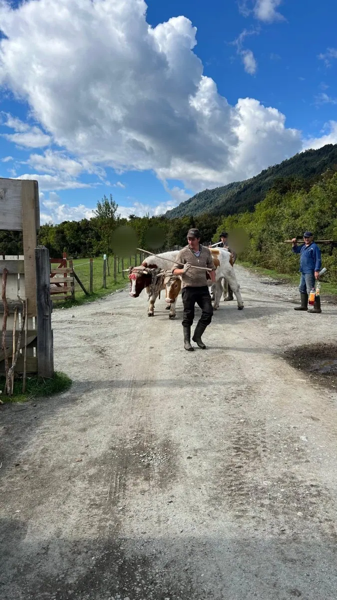 Tour a Cochamó desde Valdivia