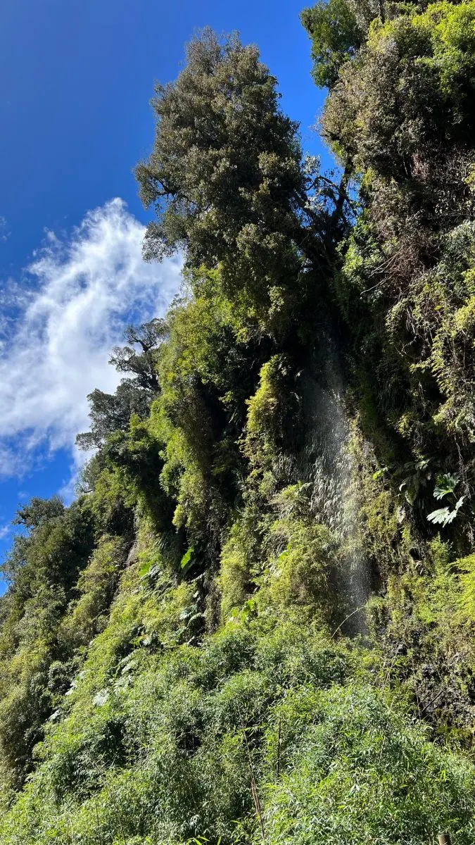 Tour a Cochamó desde Valdivia