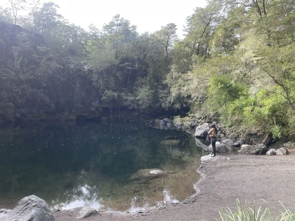 Ruta Los Colonos desde Valdivia