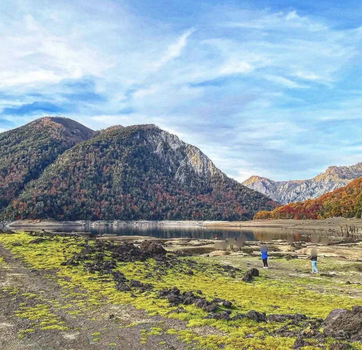 Tour al Parque Nacional Conguillío desde Pucón y Villarrica