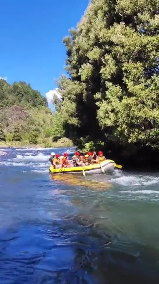 Estudiantes en una gira de estudio con Valdivia Tours