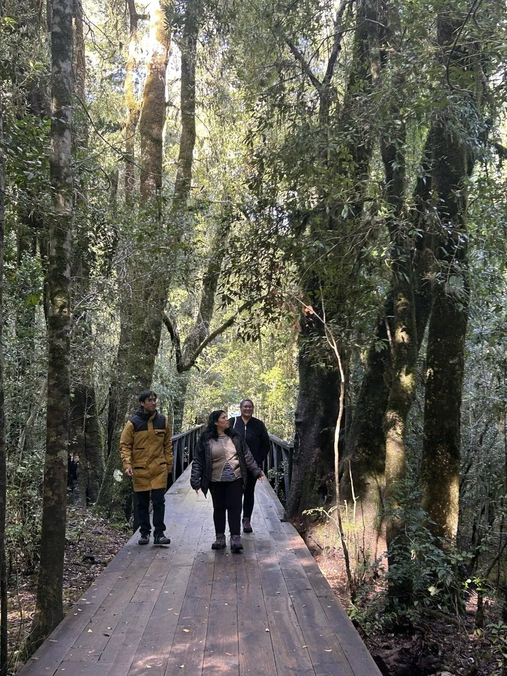 Tour a Huilo Huilo desde Pucón y Villarrica