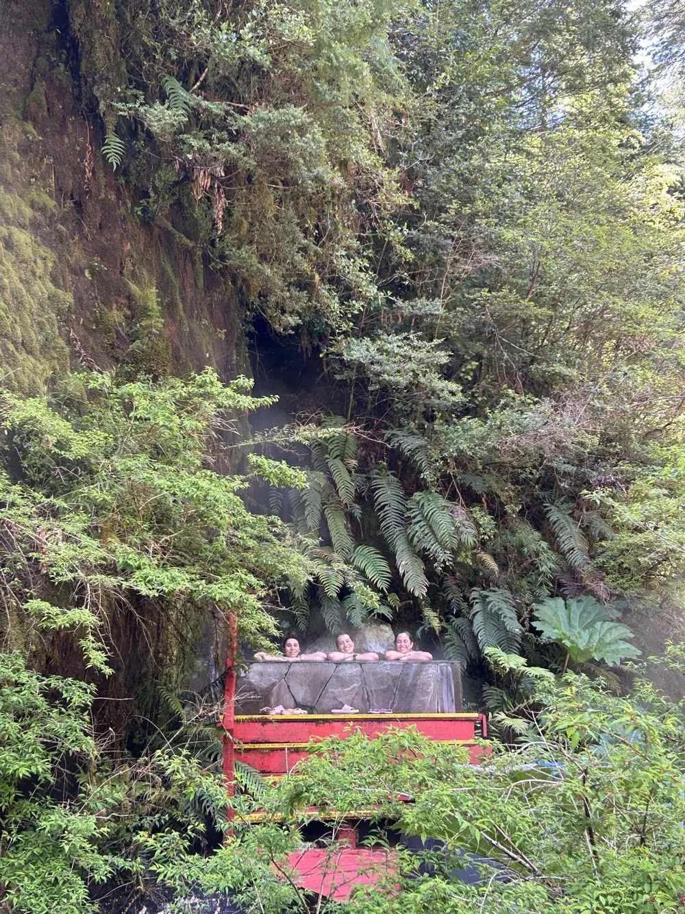 Termas Martini desde Pucón y Villarrica