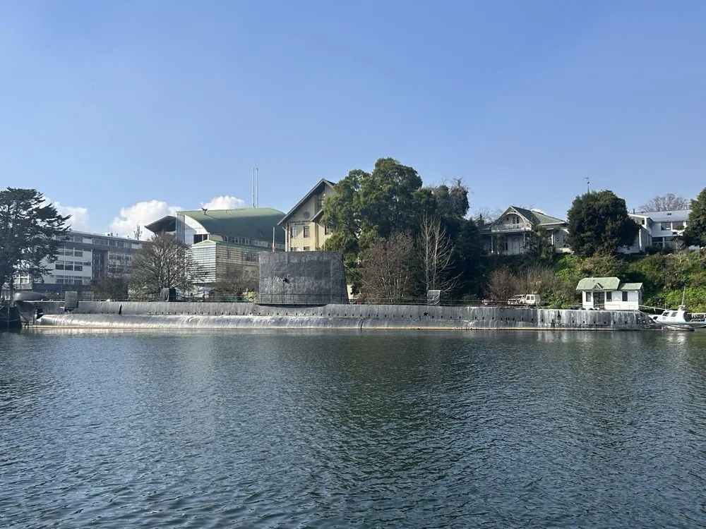 Tour a Punucapa desde Valdivia