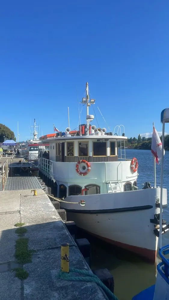 Paseo en bote por Valdivia: city tour de navegación