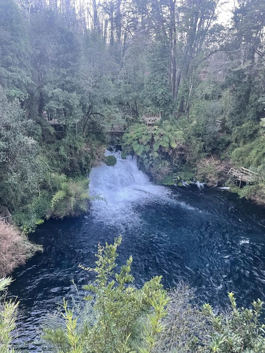 Ojos del Caburgua y Lago Caburgua desde Pucón