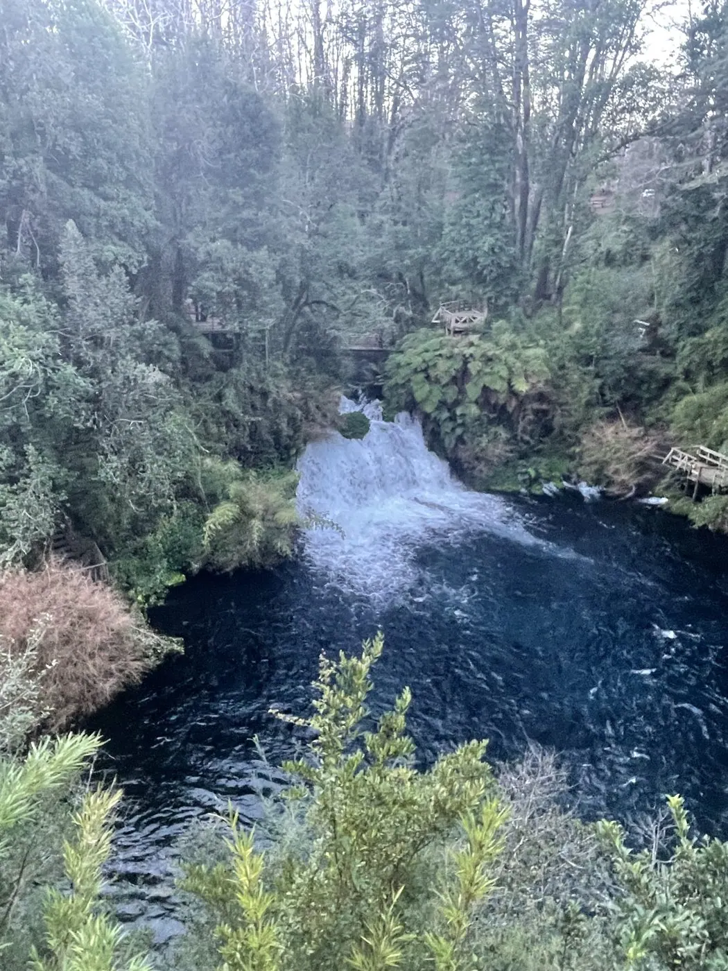 Ojos del Caburgua y Lago Caburgua desde Pucón