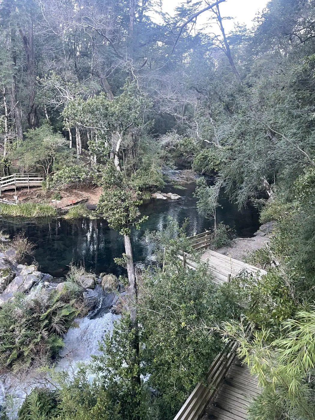 Ojos del Caburgua y Lago Caburgua desde Pucón