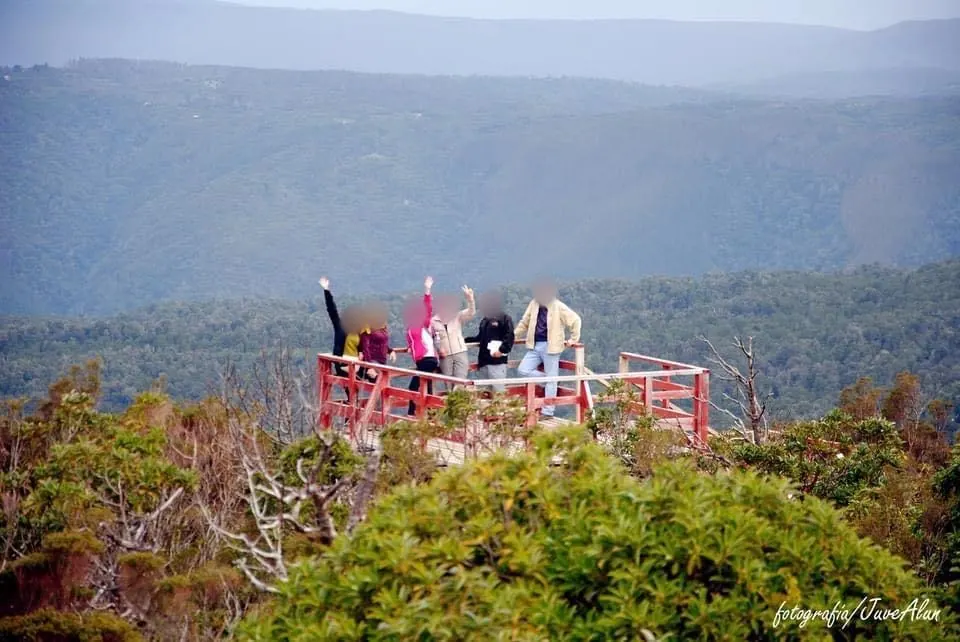 Tour al Parque Oncol: selva valdiviana