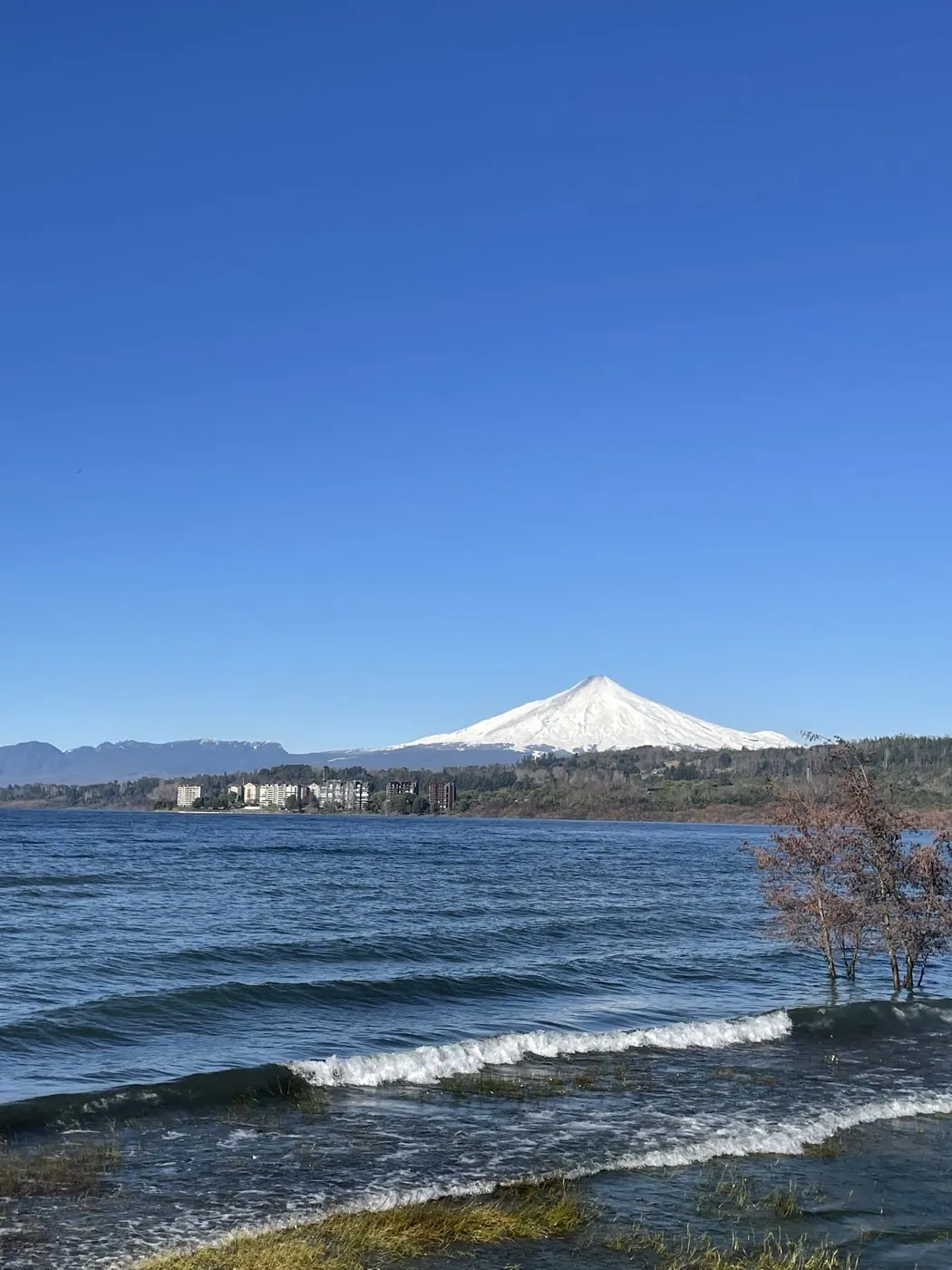 Tour a Villarrica y Pucón desde Valdivia