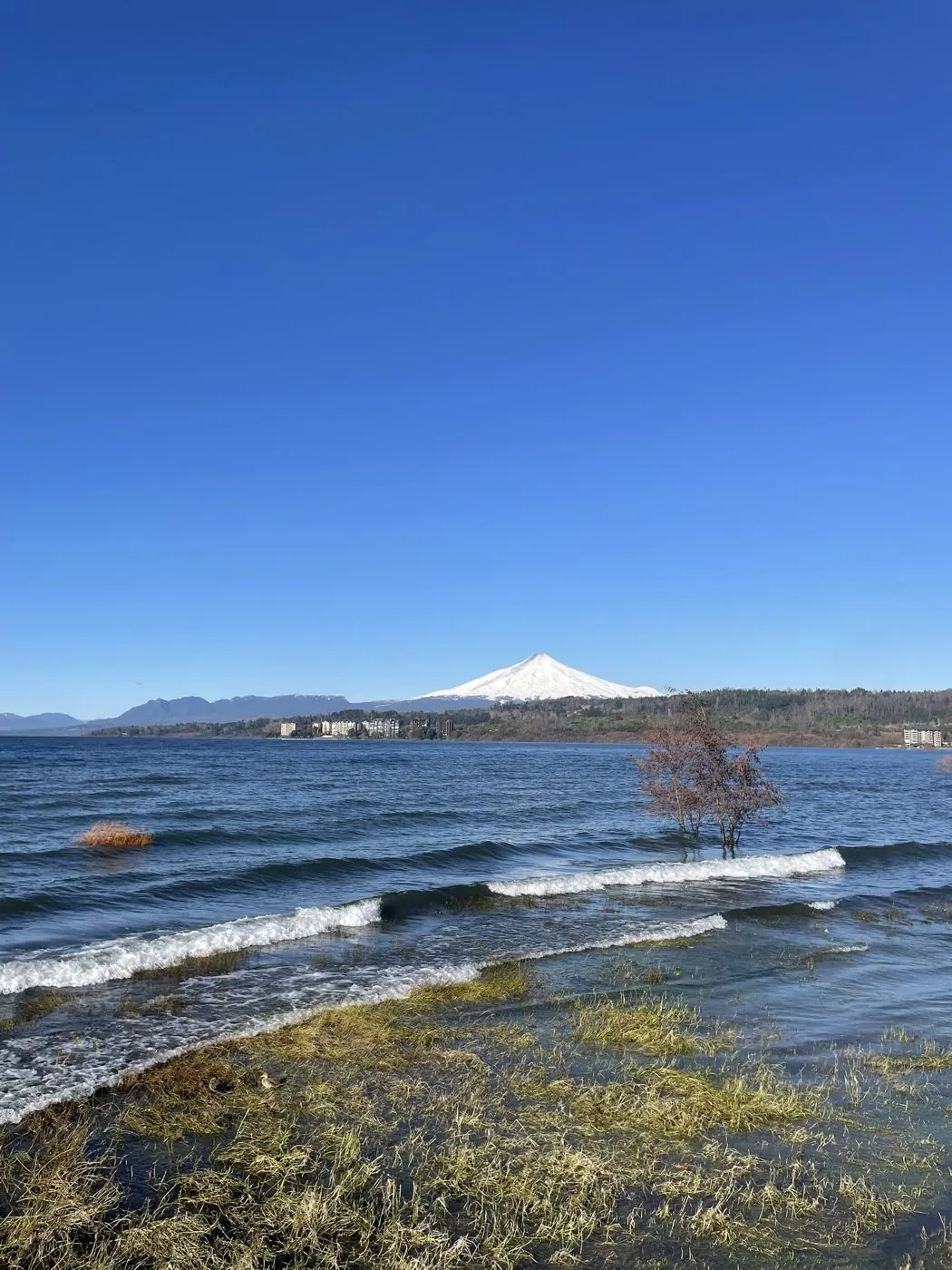 Tour a Villarrica y Pucón desde Valdivia